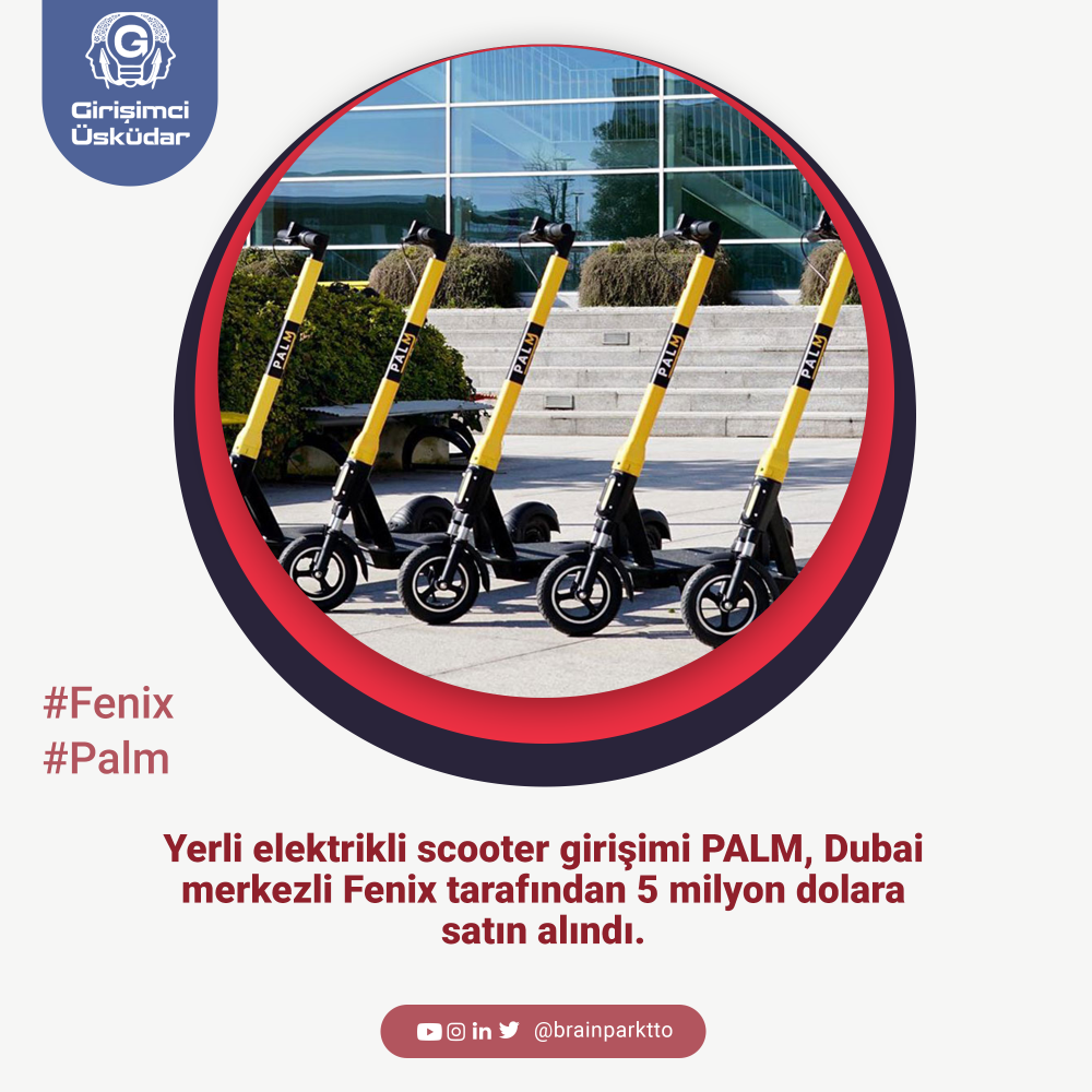 Yerli elektrikli scooter girişimi PALM...